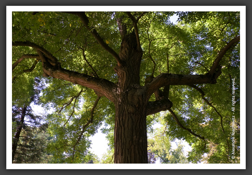 060901_JardinPublique_008