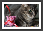 061226_LilouCoussin_005