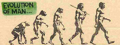 Evolution