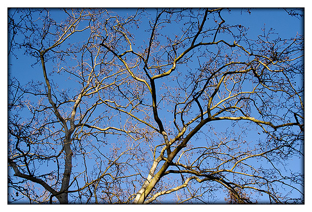 Parc Bordelais