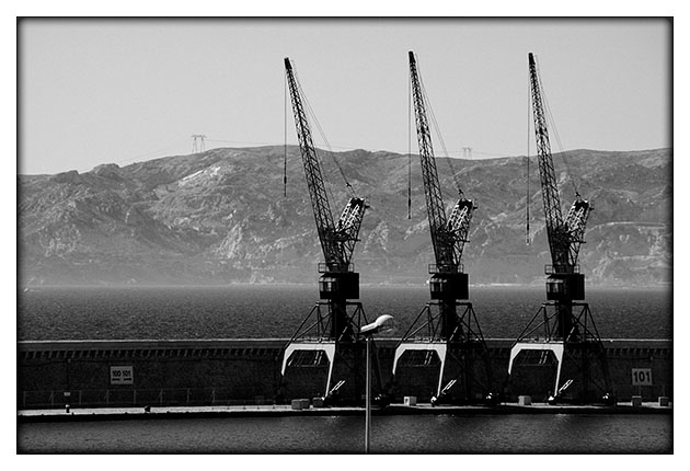 Grues Marseille